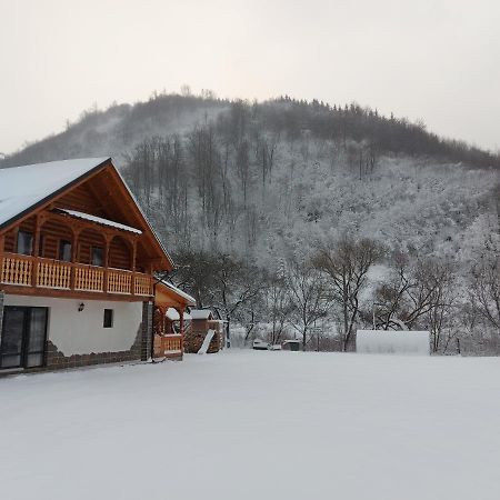 Vişeu de Sus Casa Nova 빌라 외부 사진