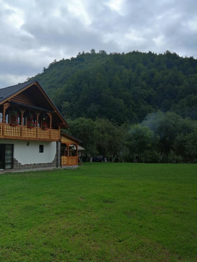 Vişeu de Sus Casa Nova 빌라 외부 사진