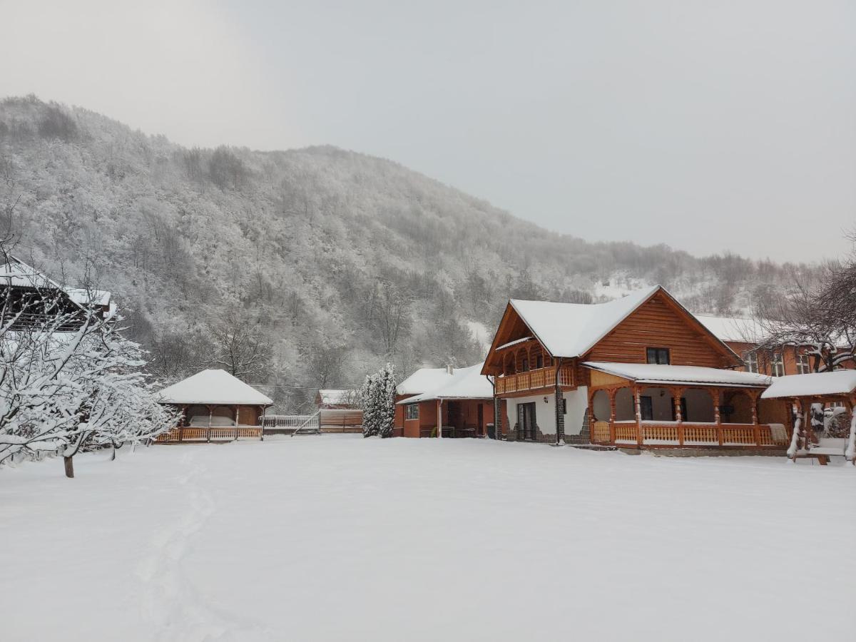 Vişeu de Sus Casa Nova 빌라 외부 사진