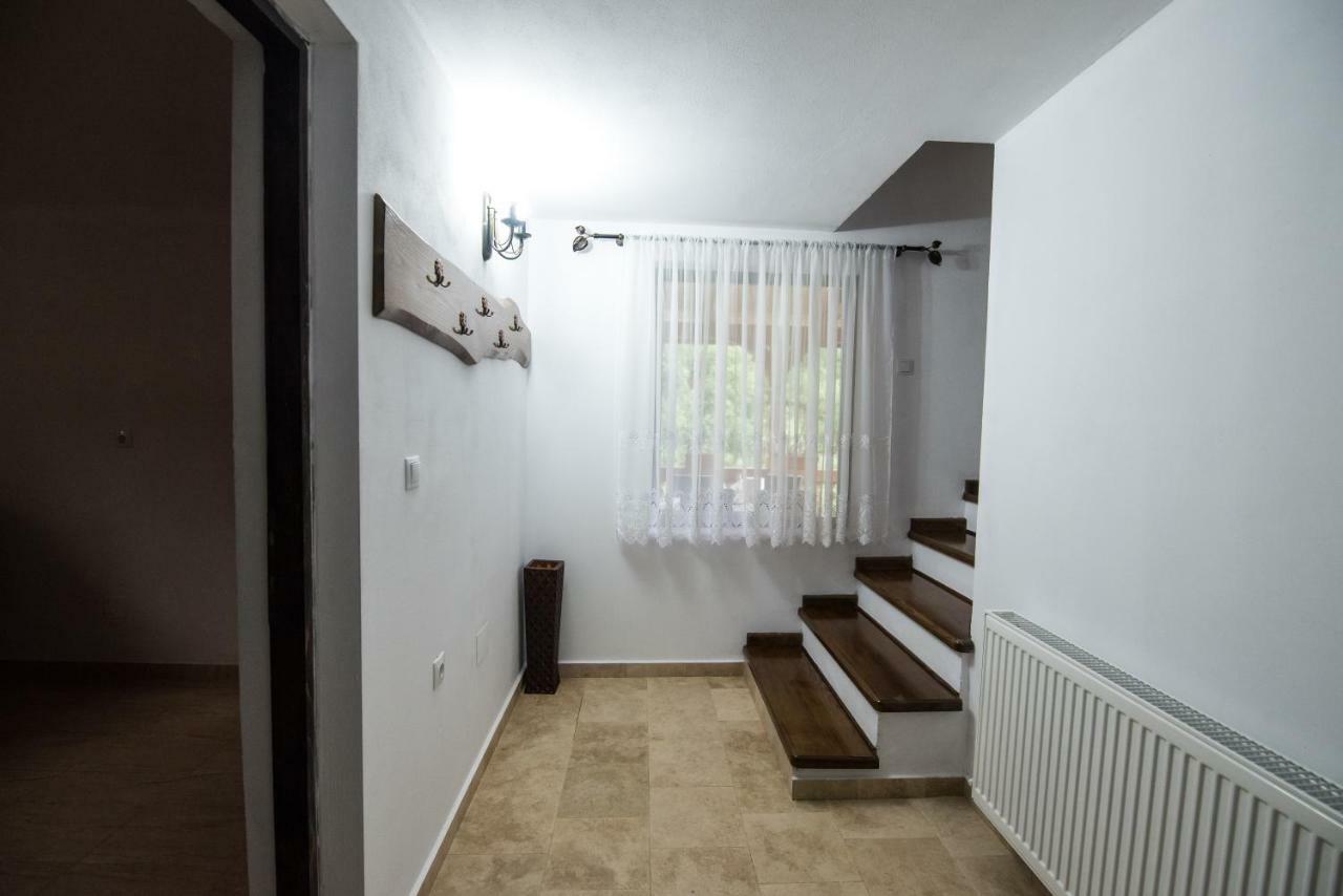 Vişeu de Sus Casa Nova 빌라 외부 사진
