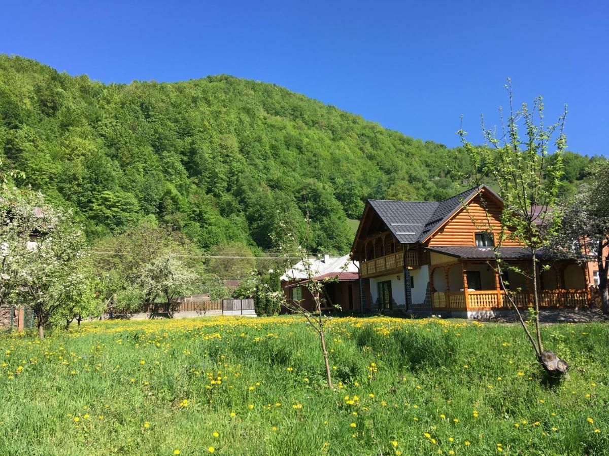 Vişeu de Sus Casa Nova 빌라 외부 사진