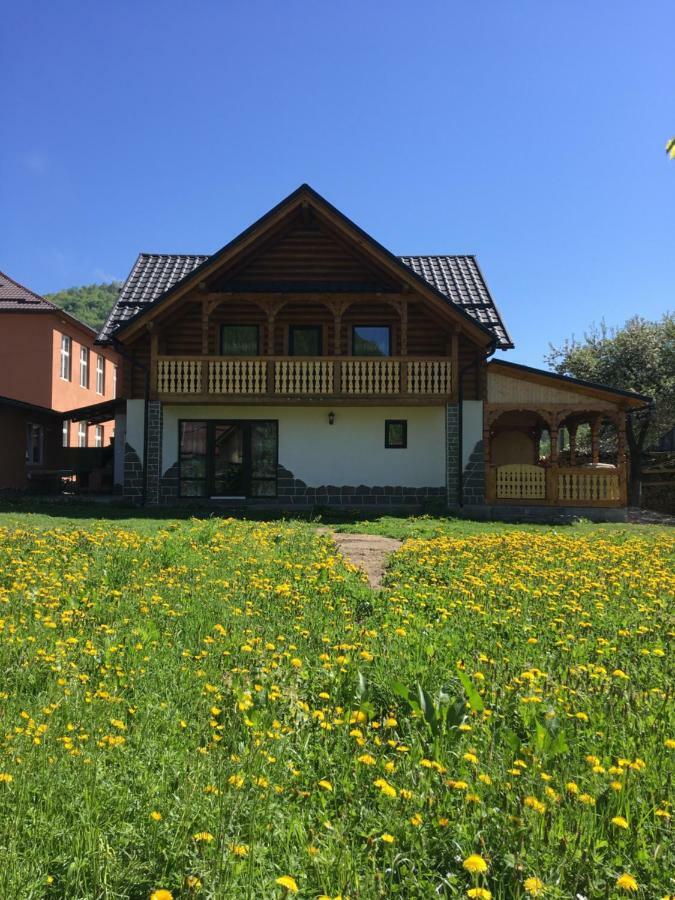 Vişeu de Sus Casa Nova 빌라 외부 사진