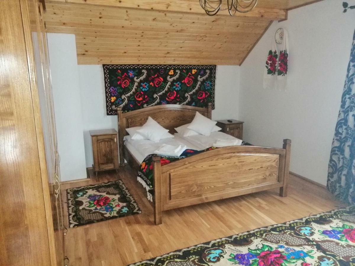 Vişeu de Sus Casa Nova 빌라 외부 사진