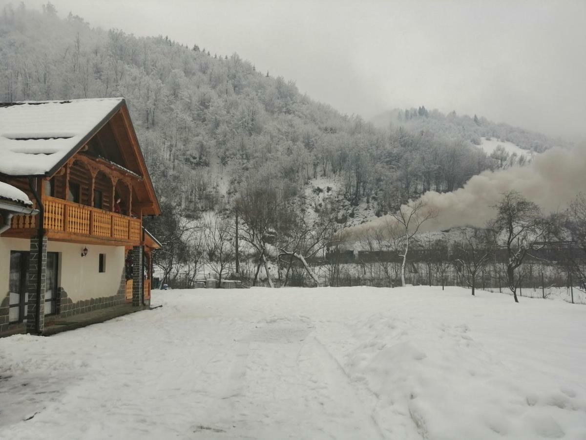 Vişeu de Sus Casa Nova 빌라 외부 사진